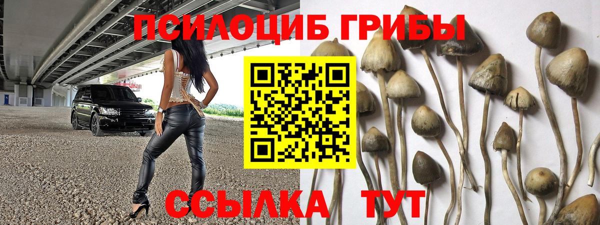 Псилоцибиновые грибы прущие грибы  Вход с VPN  Галлюциногенные грибы Cubensis  Полевской 