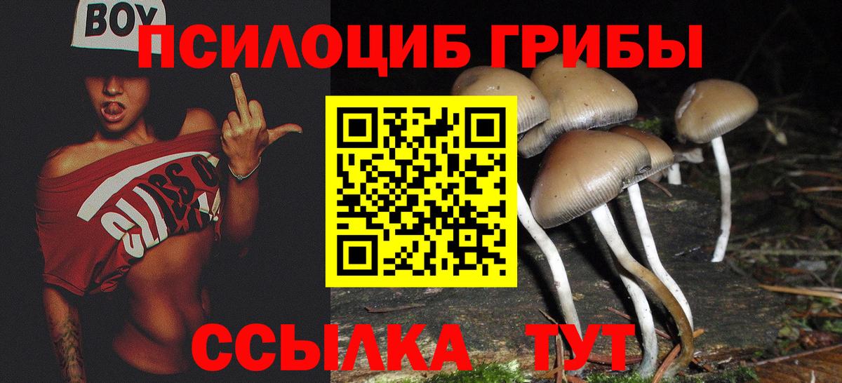 Галлюциногенные грибы Magic Shrooms Полевской